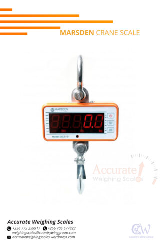 Purchase heavy duty crane weighing scale with overload