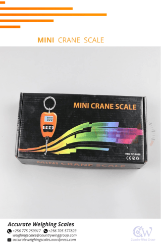 Light duty crane weighing scale for retail business