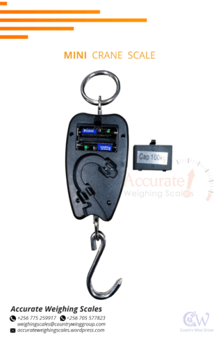 Light duty crane weighing scale for retail business