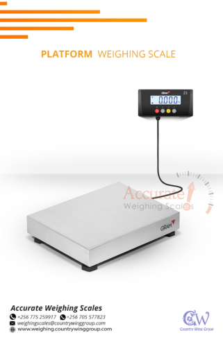 Advanced long lasting 300kg platform weighing scales