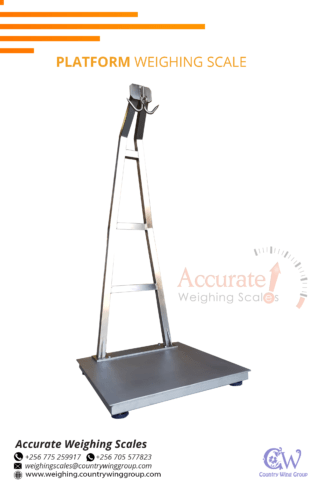 Digital strong heavy duty platform weighing scale prices