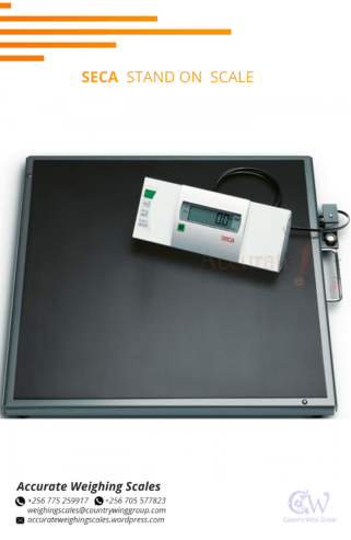 Medical digital bathroom weighing scale best selling price