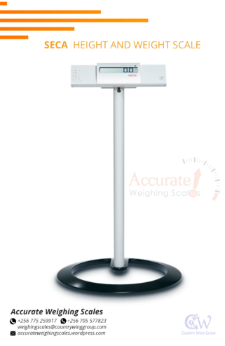 stable height and weight scale with rubber pads cover