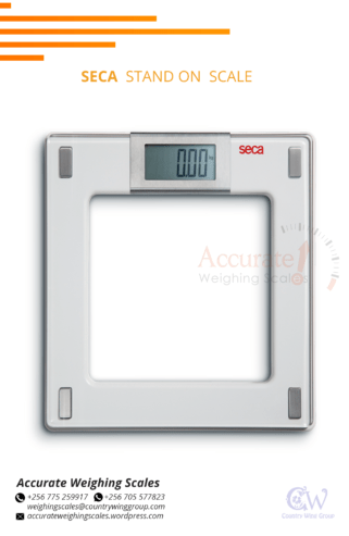 Personal and home digital bathroom weighing scales