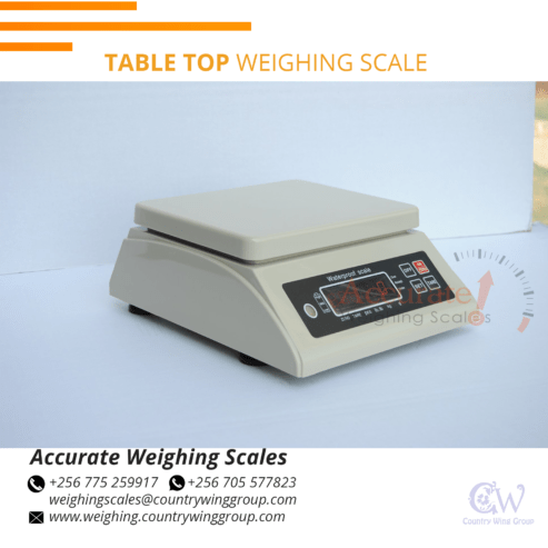 Waterproof weighing scale perfect for fish processing field