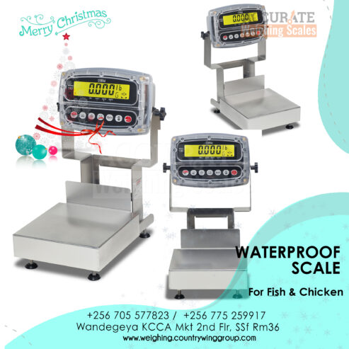 Waterproof weighing scale perfect for fish processing field