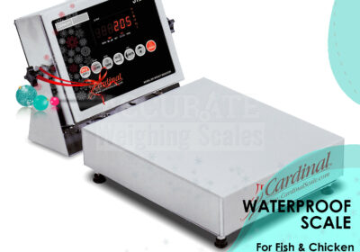 WATERPROOF-WEIGHING-SCALES-20-1