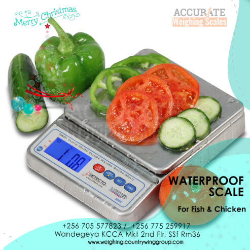 Waterproof AC/DC adaptor for fish weighing table top scale