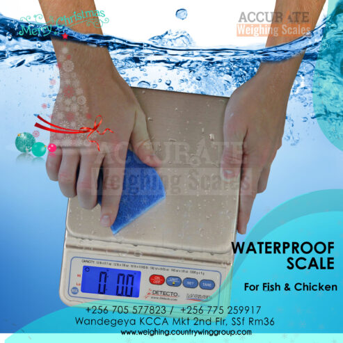 Durable and water-resistant wash down weighing scale