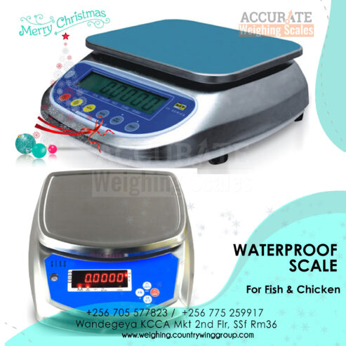 Compact Waterproof Scale 30kg capacity digital type