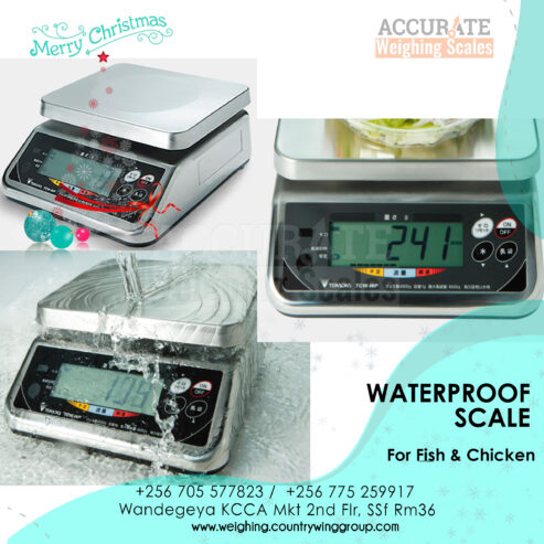 Stainless steel pan waterproof weighing scale for fishery