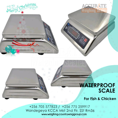 fish food processing factories digital weighing scales