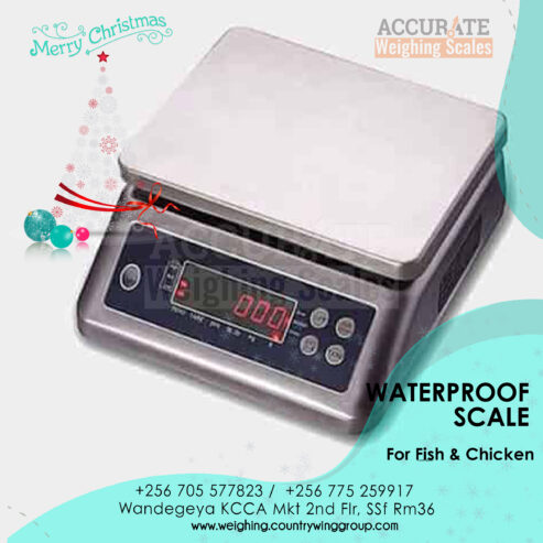 moisture and dirt proof weighing scale with digital display