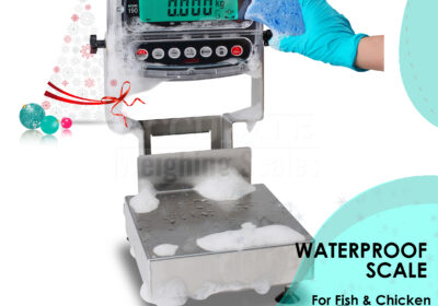 WATERPROOF-WEIGHING-SCALES-8