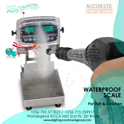 electronic waterproof housing scales 30kg weight WPS model