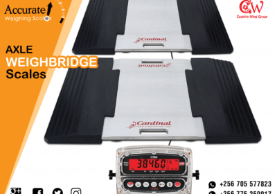 WEIGHBRIDGE-SCALES-66