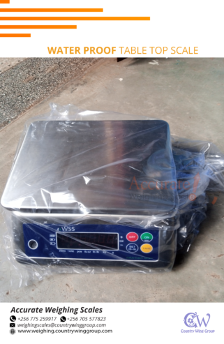 Approved digital industrial waterproof weighing scale