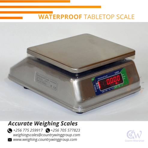 table top rustproof weighing scales for seafood markets use