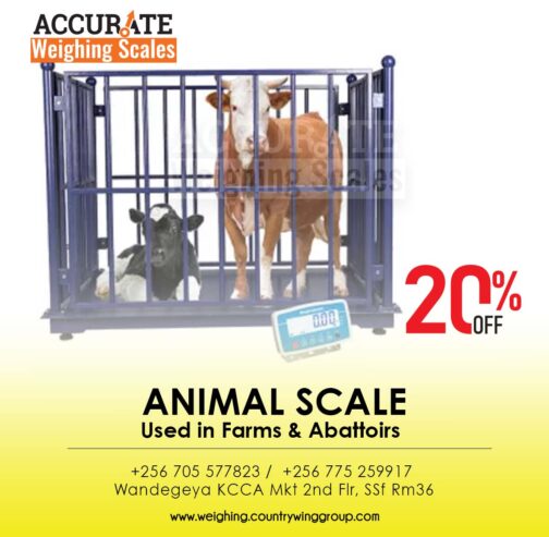 Animal weighing scale with optional WIFI output from sole