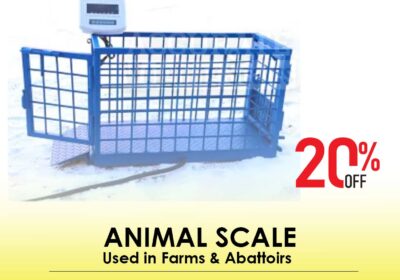 animal-scale-15-1