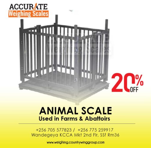 Durable veterinary scale with anti-slip pads in Kibaale
