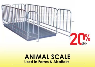 animal-scale-22-1