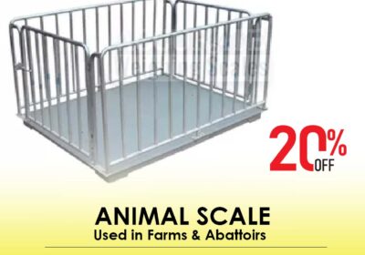 animal-scale-24-1