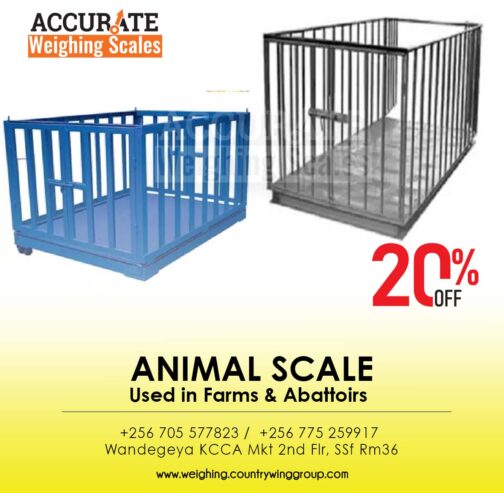 Durable animal weighing scales with decks in Kampala