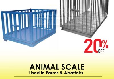 animal-scale-30-7