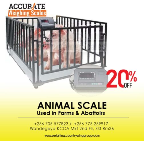 Animal weighing scale with optional WIFI output from sole