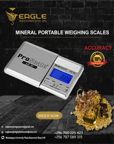 Digital Portable mineral, jewelry electronic weighing scale