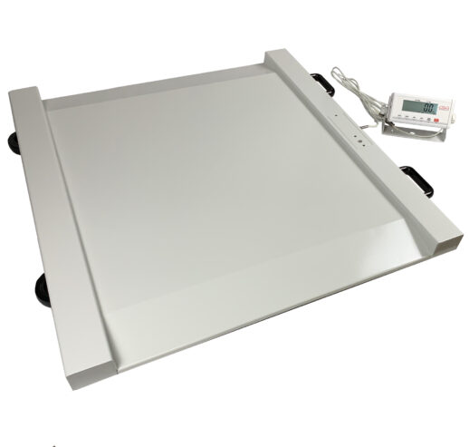 Food Storages floor weighing scale