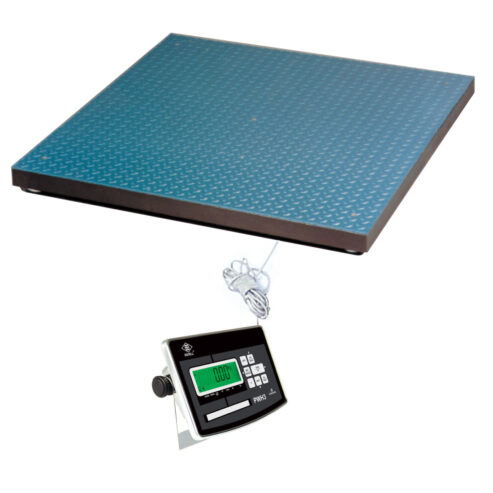 Food Industrial Processing Floor scale