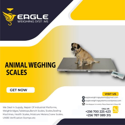 What is the price of animal weighing scale in Kampala ?