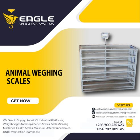 Digital body Animal Weighing Platform Stainless Steel Scale