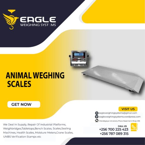 Animal TCS system electronic bench weighing digital platform