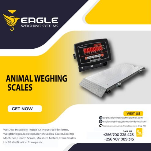 Platform animal weighing scales at Eagle Weighing Systems