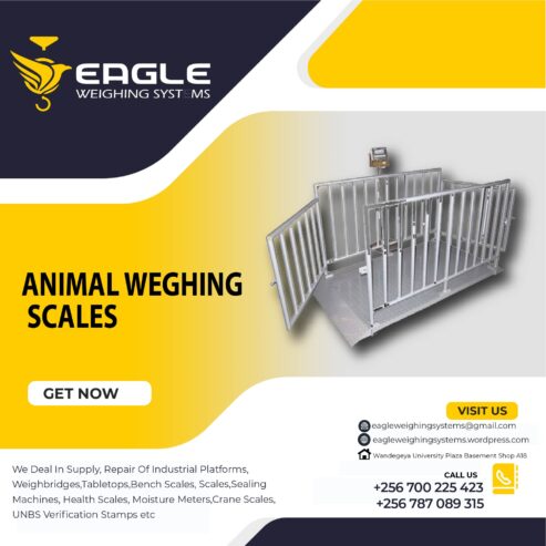 Animal Computing weighing scales for shops in Uganda