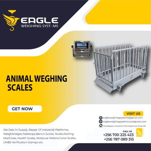 Cattle animal Weight floor weighing scales for industries