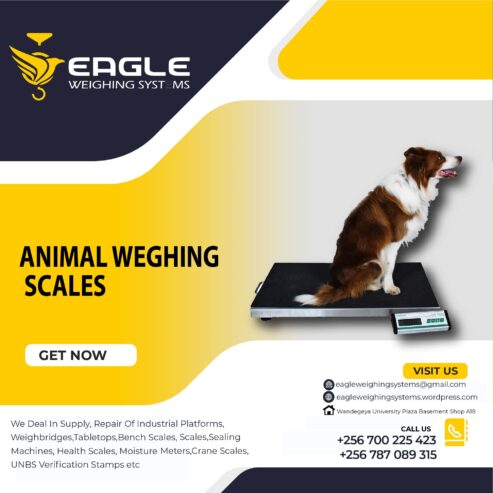 Pet platform weighing scales in Mukono