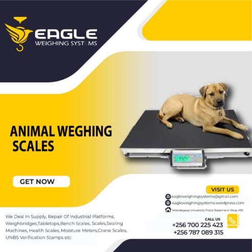 Pet platform weighing scales in Mukono