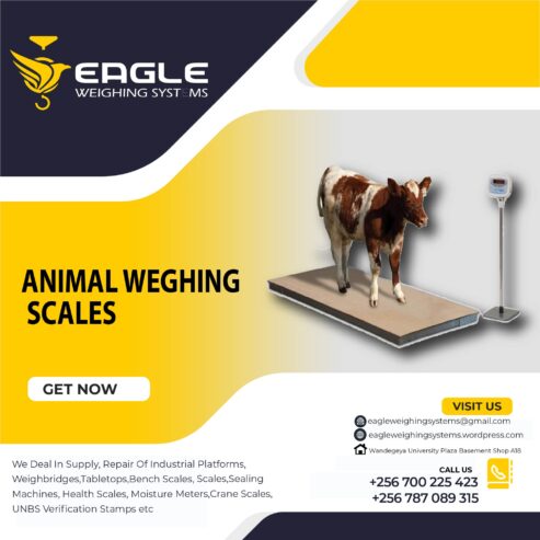 3000KG animal cattle Electronic Digital Industrial Platforms