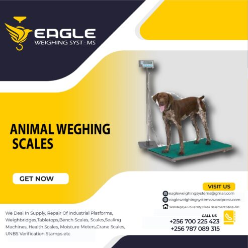 1500kg Animal industrial Platform Animal Scales