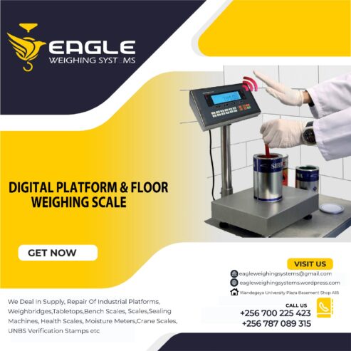 Stainless steel electronic weighing scales uganda