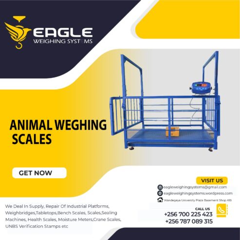 Platform floor animal weighing scale industrial cattle weigh