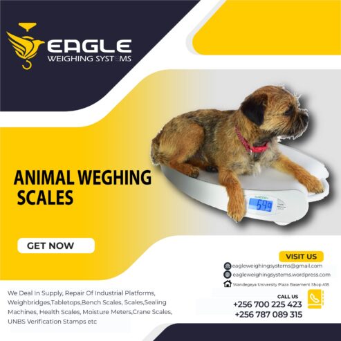 Pet platform weighing scales in Mukono