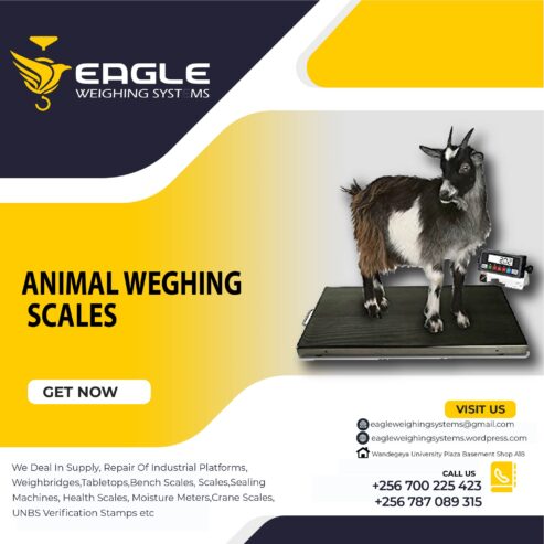 Pet platform wegihng scales in Mukono