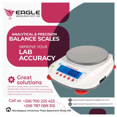 Digital Laboratory analytical Weighing Electronic Scales