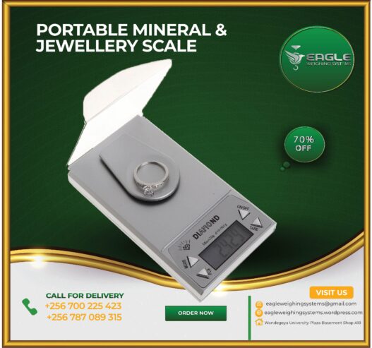 Jewellery Digital Weight Milligram Scale 1000g/0.1g new