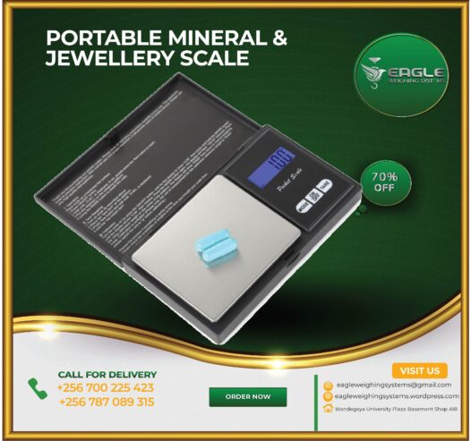 Portable mineral, jewelry weighing Scales Digital Industrial